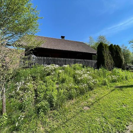 Villa Ferienhütte Bosic Baierdorf Exterior foto