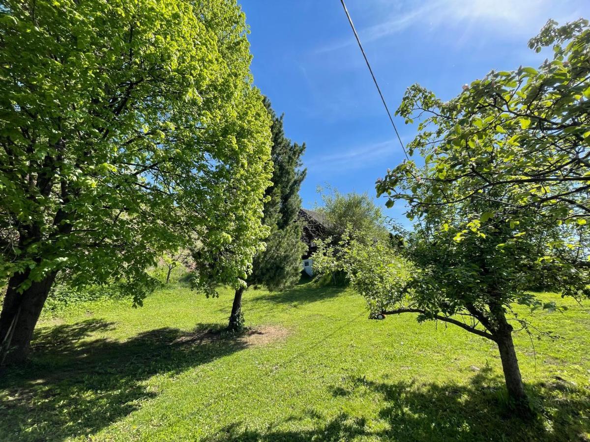 Villa Ferienhütte Bosic Baierdorf Exterior foto