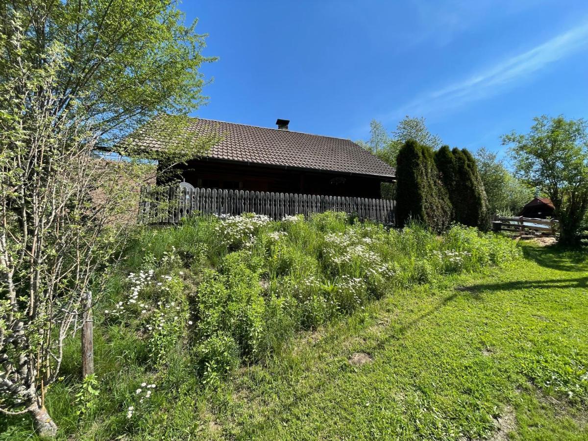 Villa Ferienhütte Bosic Baierdorf Exterior foto